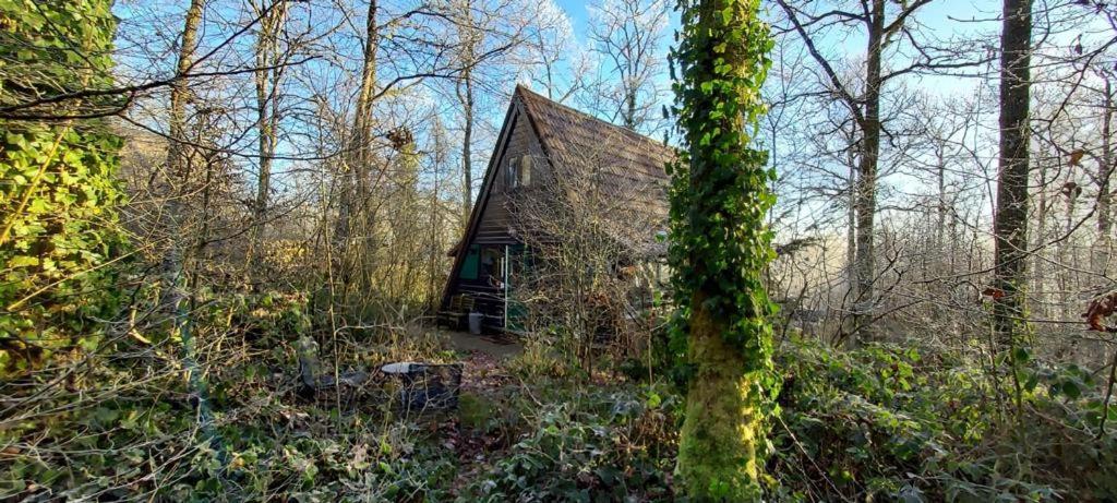 Het Boshuisje In Durbuy Villa Exterior photo